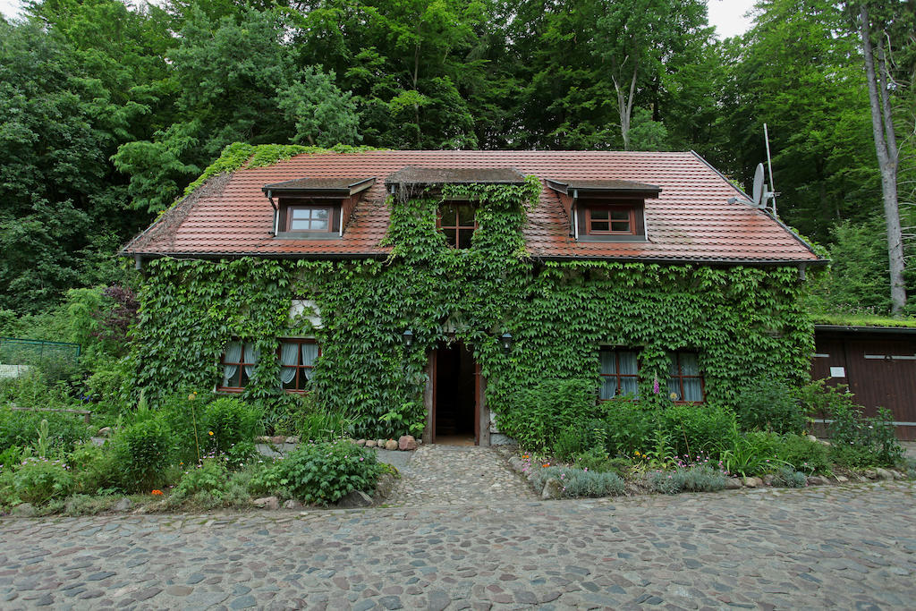 Hotel Boltenmuehle Guhlen Glienicke Ruang foto